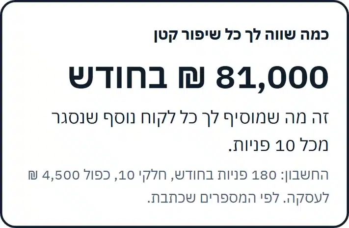 צילום מסך מפרק 3, השורה בשקלים, דוגמה